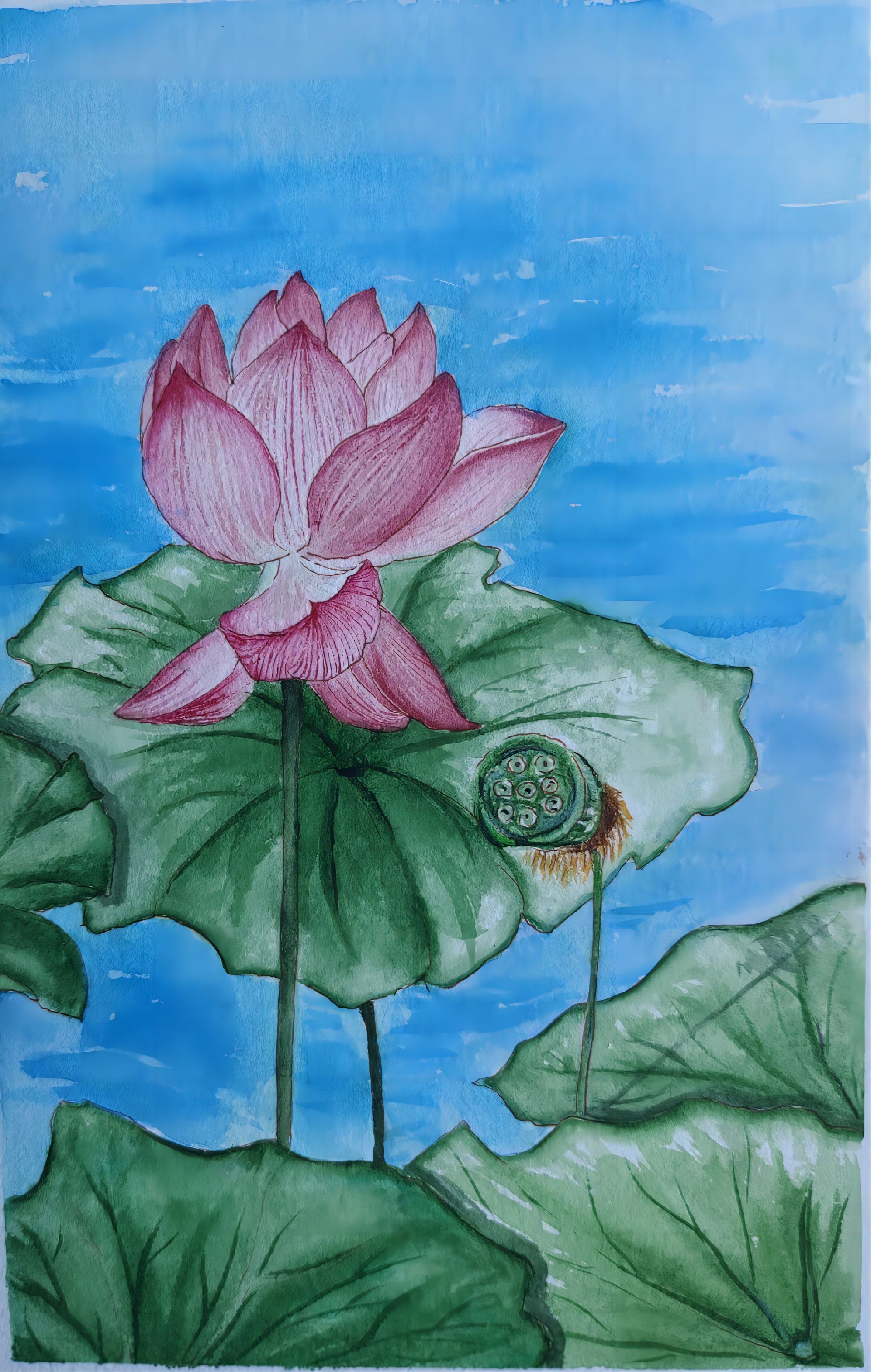 1679986414100600.jpg 75、莲(1).jpg